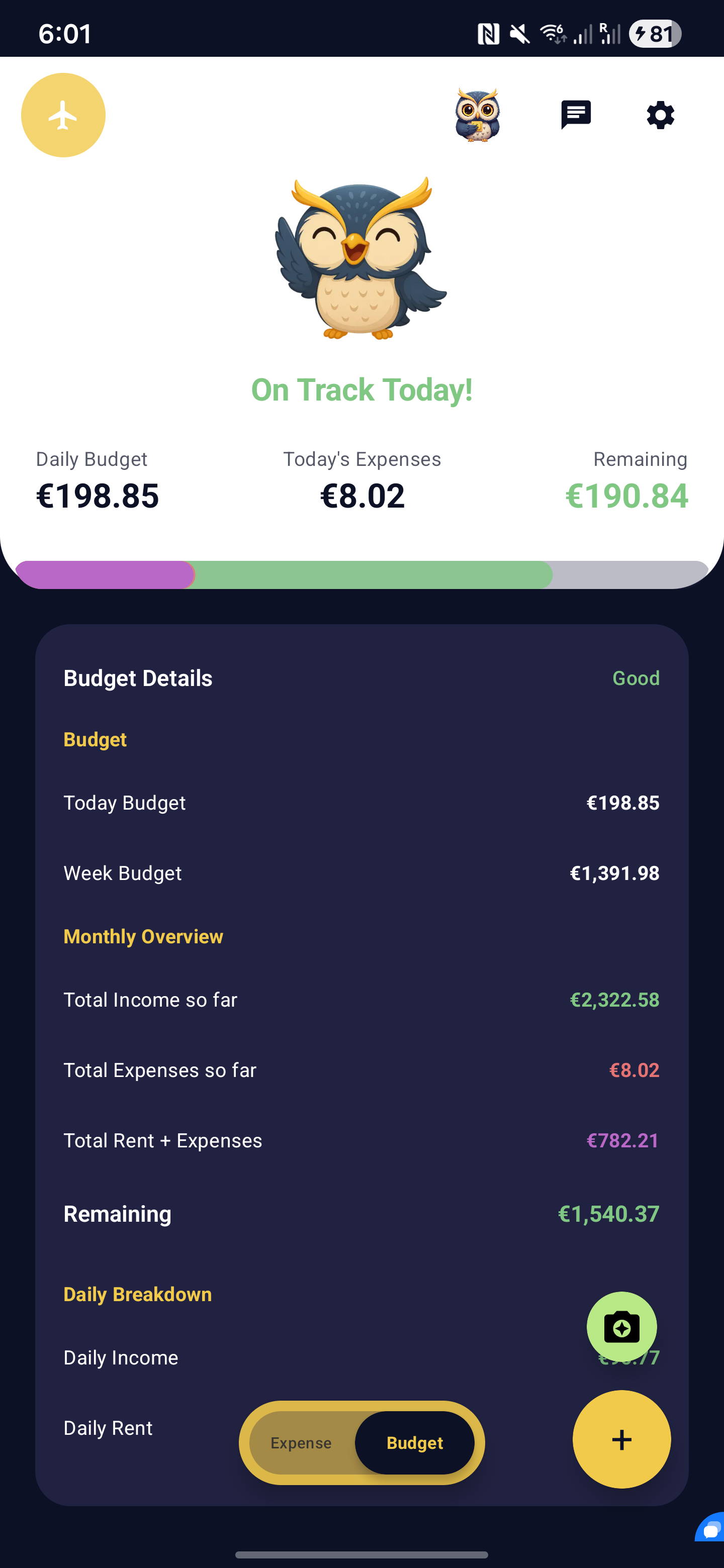 Budget tracking - on track